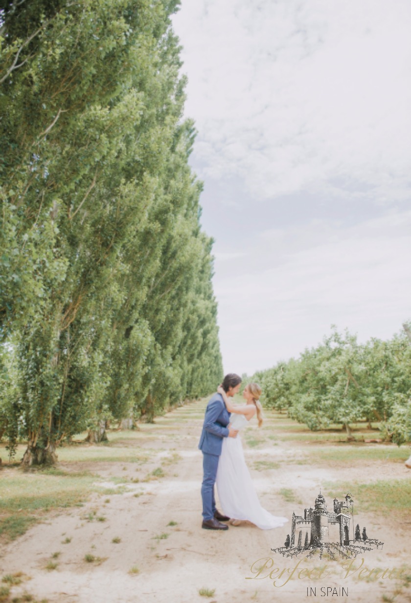 mariage dans un château européen