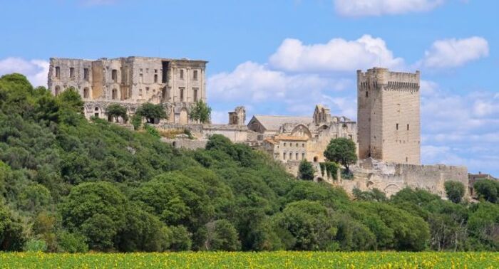 Ruined monasteries in Europe / Photo via Pinterest Ruined monasteries in Europe / Photo via Pinterest