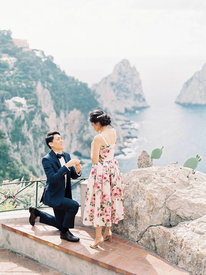 Capri Proposal