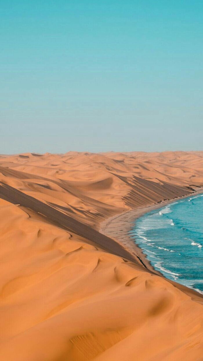 Bodas en desiertos del mundo / Foto vía Pinterest