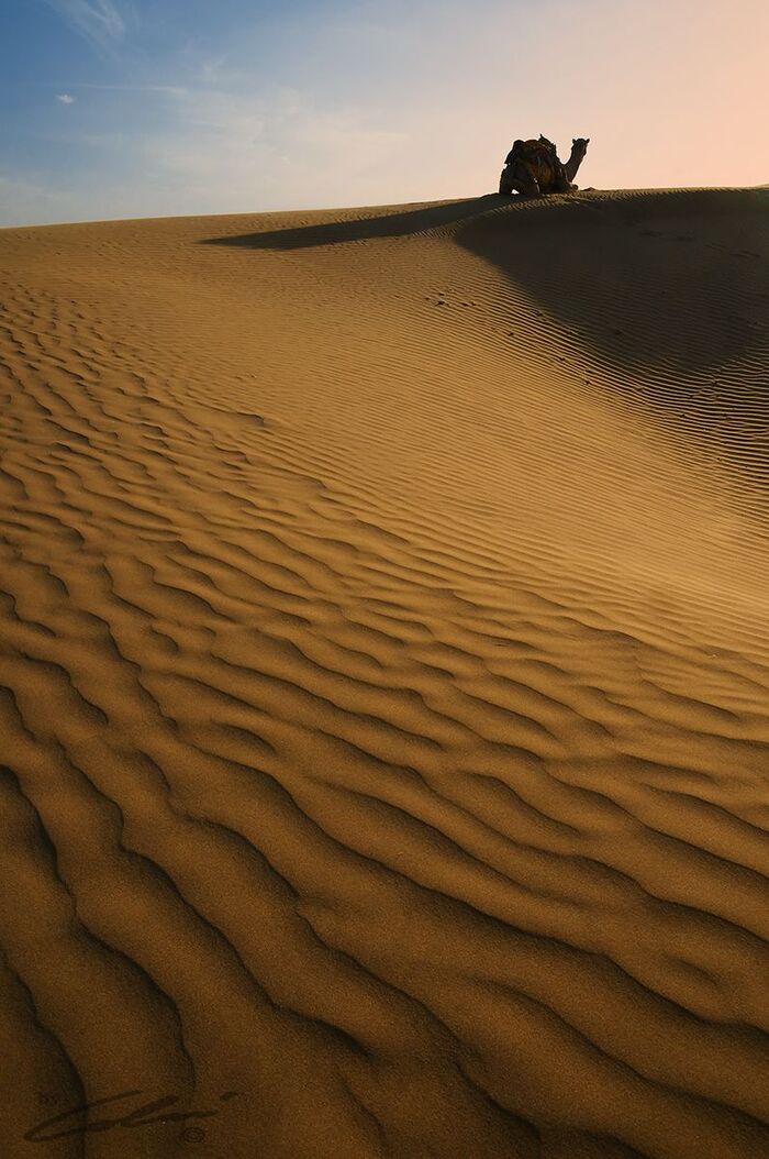 Bodas en desiertos del mundo / Foto vía Pinterest