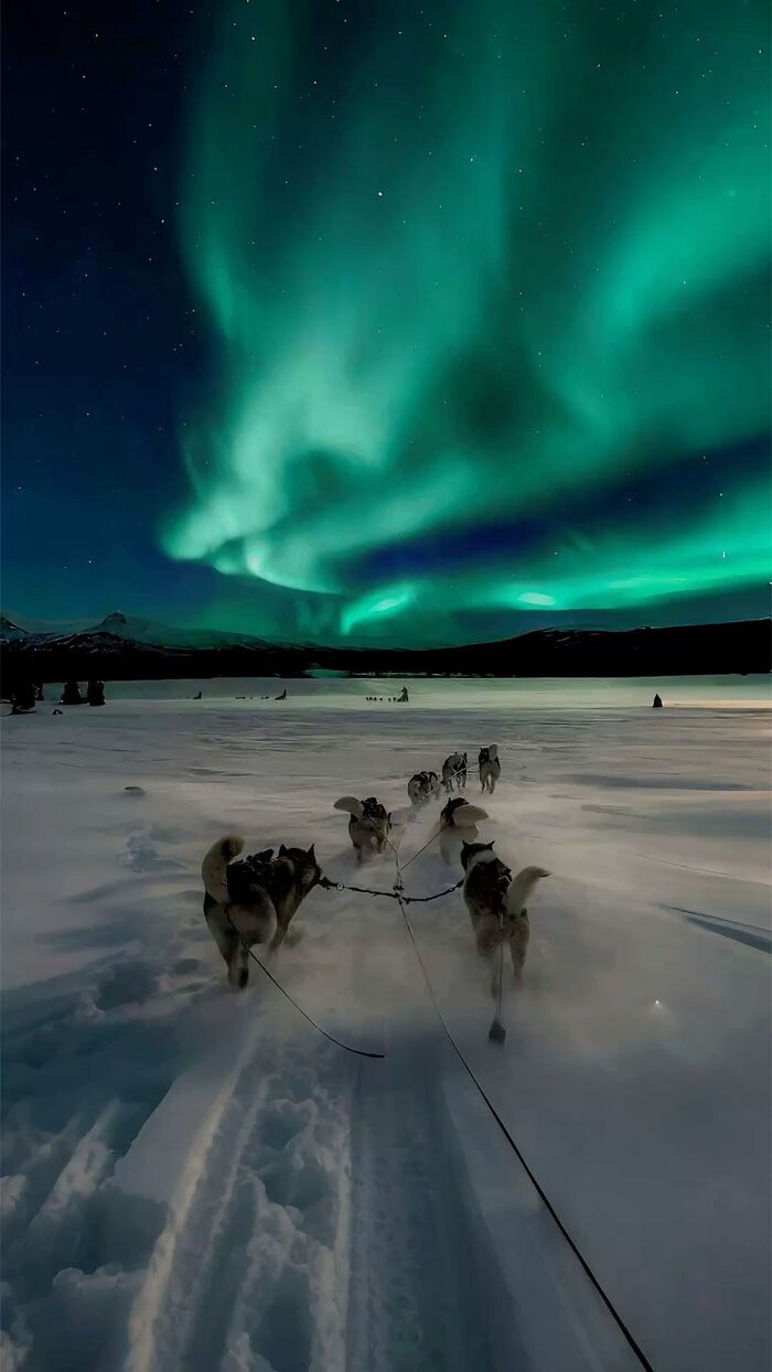 Iglús en Finlandia / Foto vía Pinterest