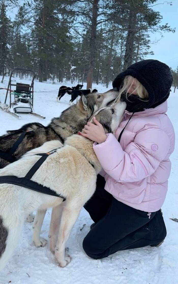 Marriage proposal in Rovaniemi with huskies / Photo via Pinterest