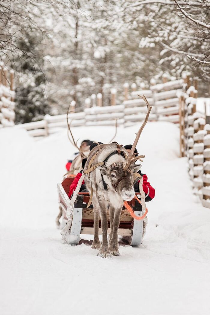 Предложение руки и сердца в Рованиеми / Фото через Pinterest Предложение руки и сердца в Рованиеми / Фото через Pinterest