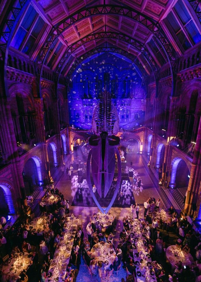 Boda en el Museo de Historia Natural de Londres / Photo via Pinterest