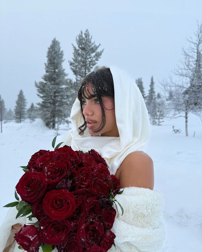 Marriage proposal in Rovaniemi with huskies / Photo via Pinterest
