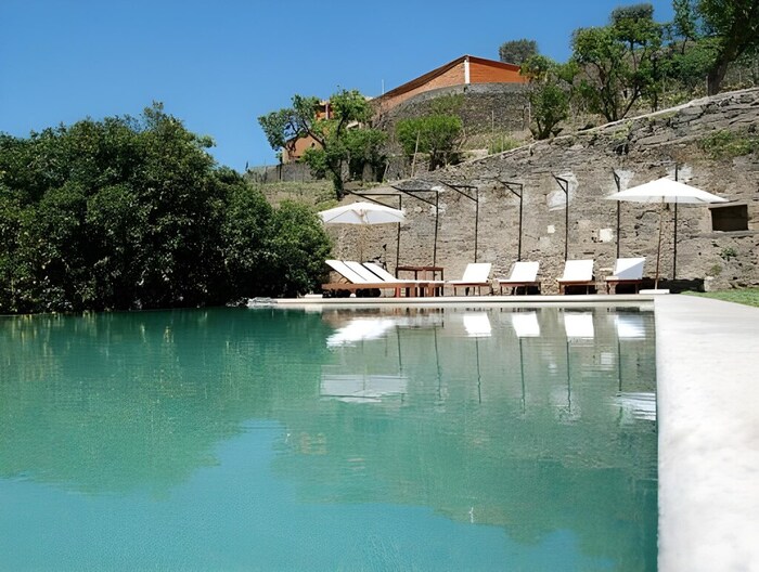 Бутик-винодельни в Португалии / Фото через agoda Бутик-винодельни в Португалии / Фото через agoda