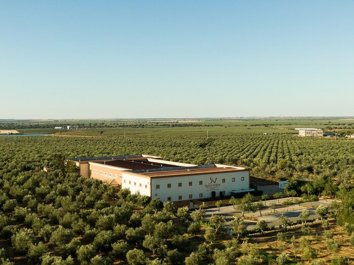 Бутик-винодельни в Португалии / Фото через Yon Wine Бутик-винодельни в Португалии / Фото через Yon Wine