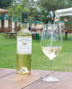 Sauvignon Blanc / Photo via Viñedo Ain Karim