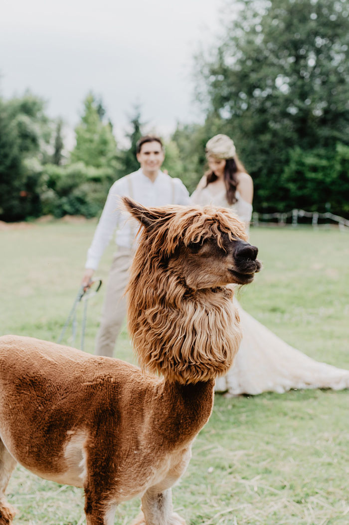 Stephanie and Andrew’s Tropical Wedding at Mulino dell’olio in Italy - Perfect Venue