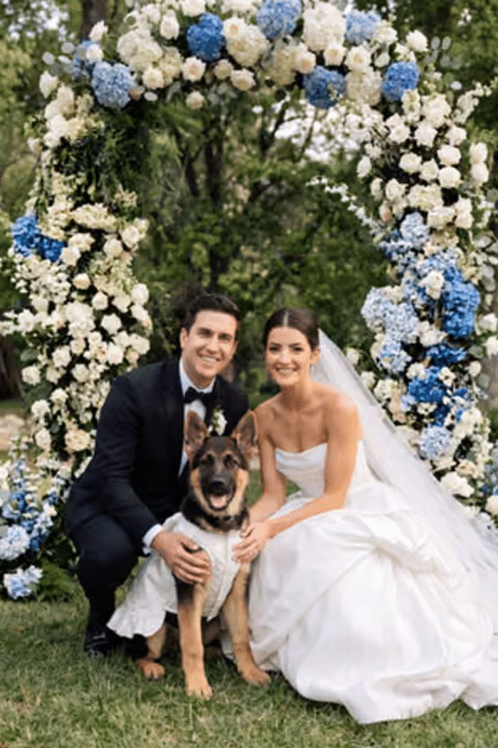 Vestidos de novia para perros / David's Bridal