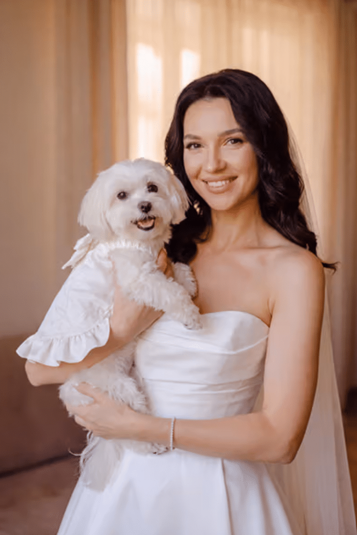 Vestidos de novia para perros / David's Bridal
