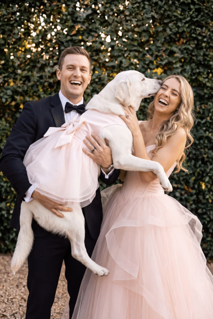 Vestidos de novia para perros / David's Bridal