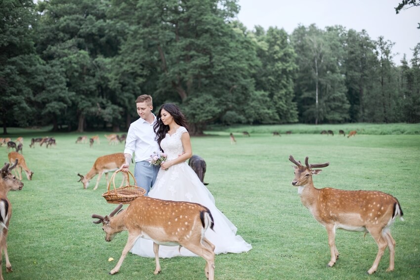 Wedding planner in Czech republic