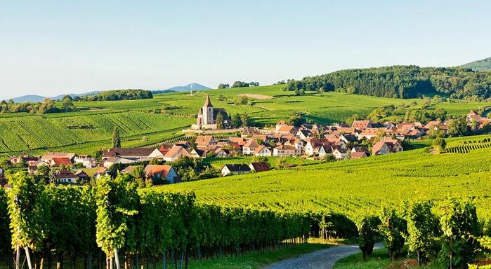 Wedding in the French countryside  Wedding in the French countryside / Photo via Pinterest