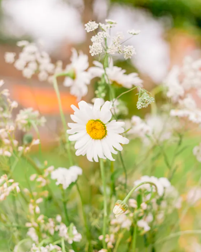 Spring Wedding Shoot in a Historical Walled Garden - Perfect Venue