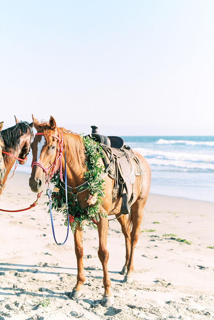 Horse Riding on the Beach at Dusk: A Romantic Proposal in California - Perfect Venue