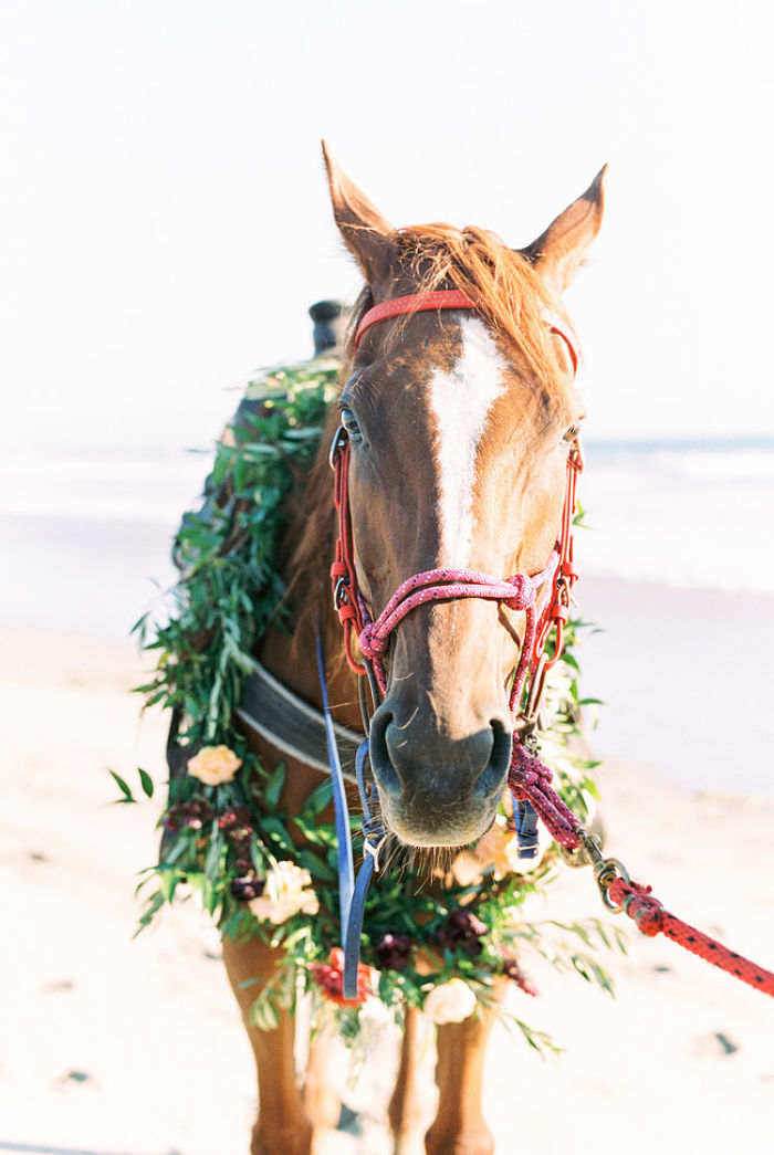 Horse Riding on the Beach at Dusk: A Romantic Proposal in California - Perfect Venue