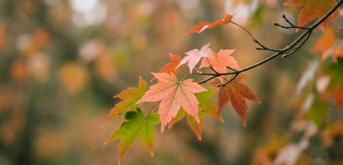 The best European spas and thermal baths to unwind | Photo via Perfect Venue The best European spas and thermal baths to unwind | Photo via Perfect Venue