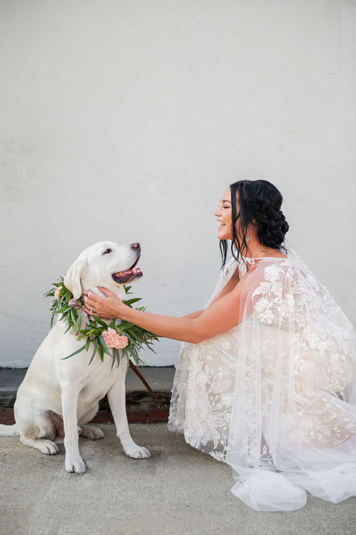 La boda de Rachel y Khary en Il Mercato con un amigo peludo portador del anillo: lugar perfecto