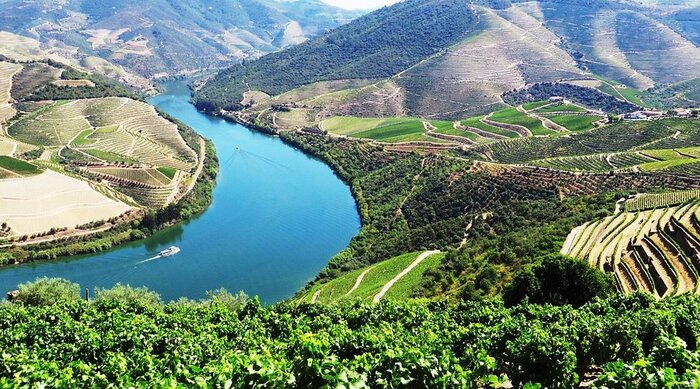 Бутик-винодельни в Португалии / Фото через Tripadvisor Бутик-винодельни в Португалии / Фото через Tripadvisor