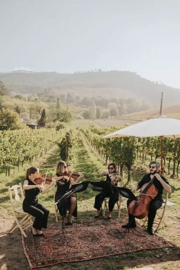 Proposal at a Vineyard in France / Perfect Venue